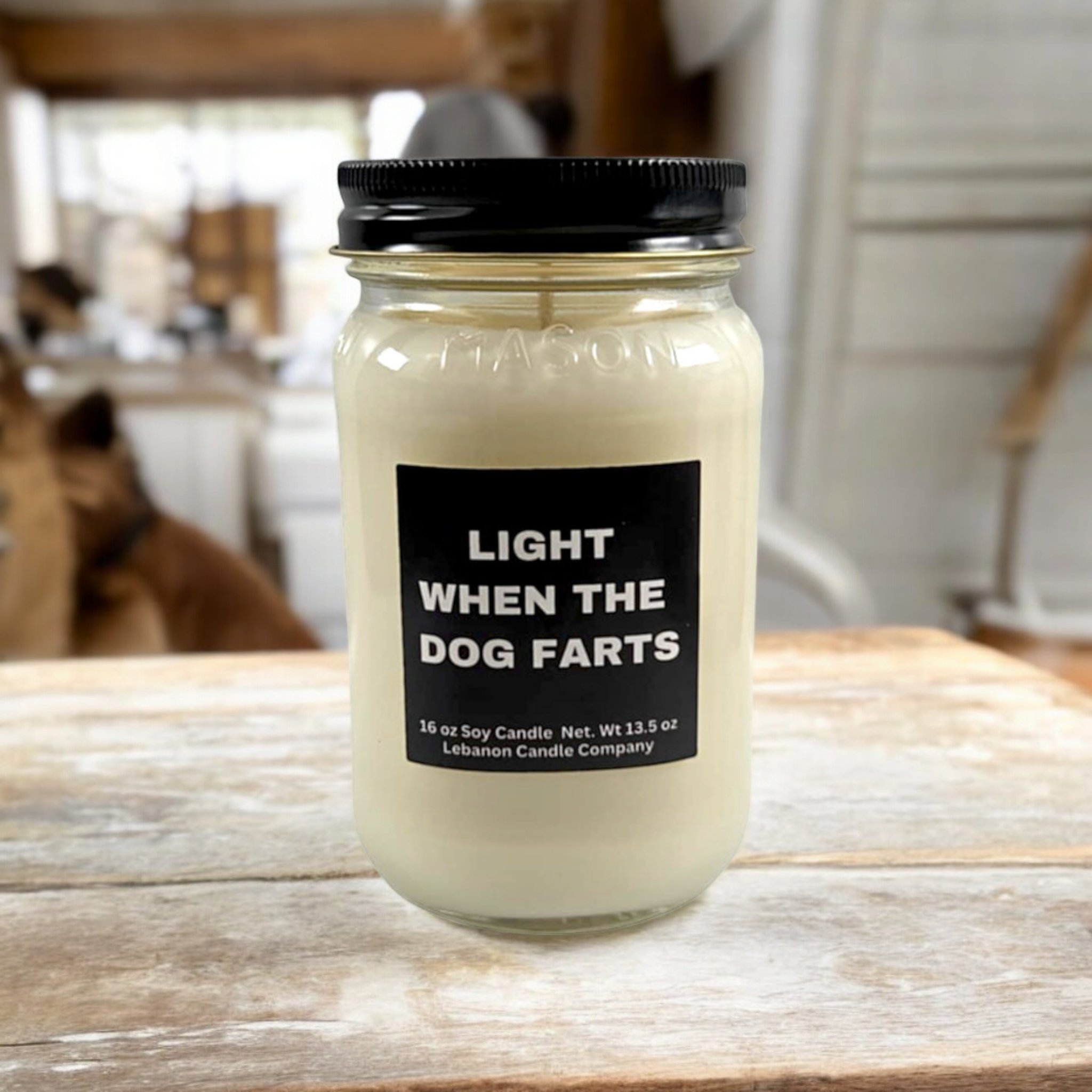 Light When The Dog Farts Funny Candle
